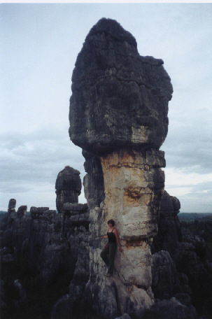 The big Stone Mushroom (K)