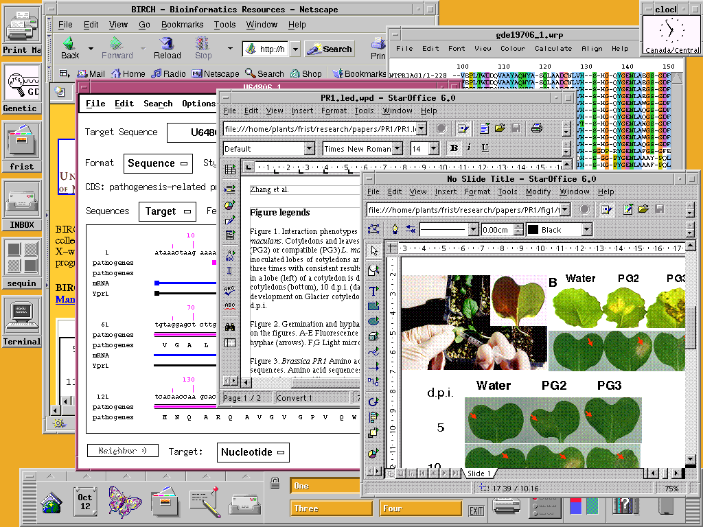 BIRCH Desktop