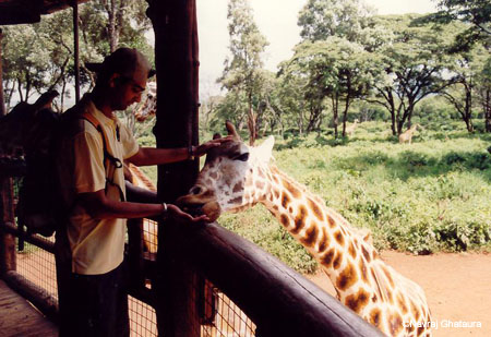 me_feeding_giraffe