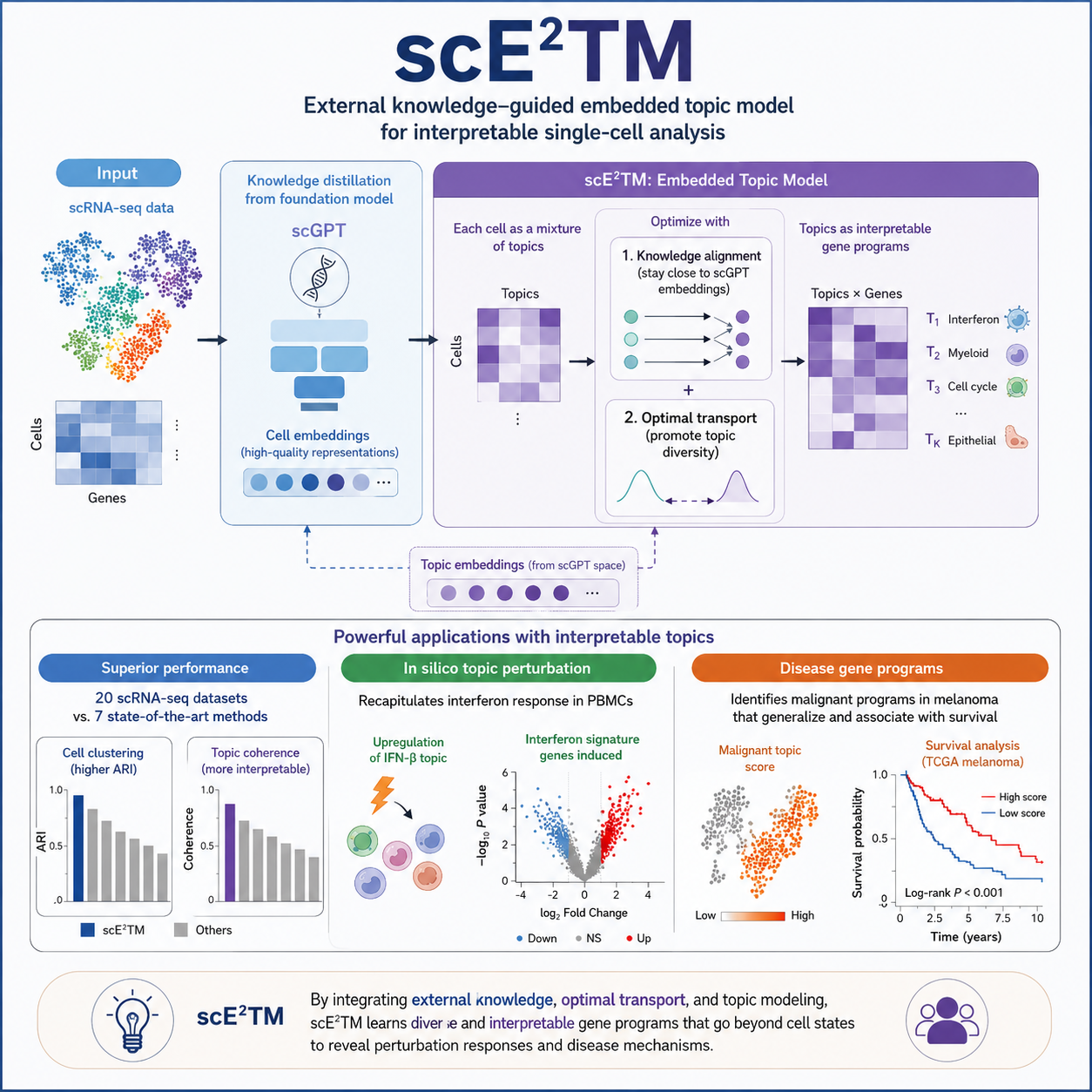 scE2TM