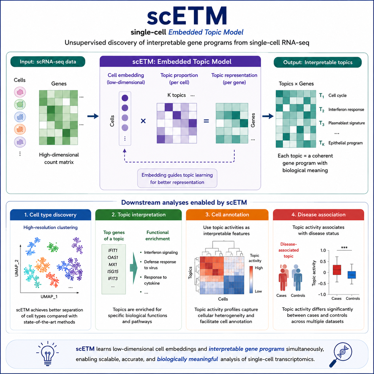 scETM